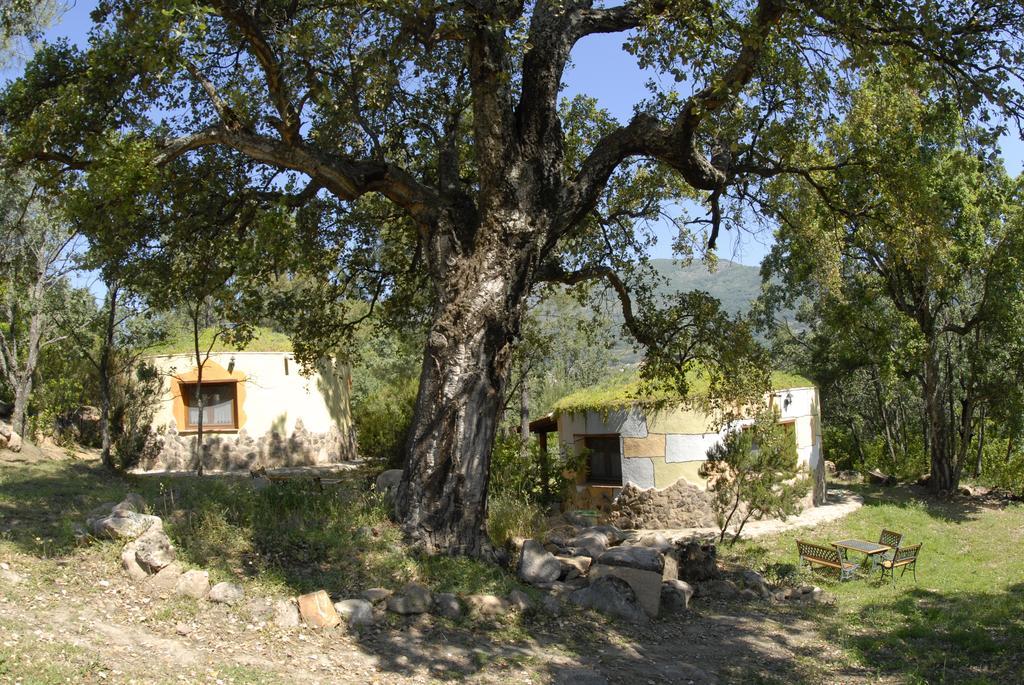 Apartamentos Rurales Ecopangea Valverde de la Vera Luaran gambar