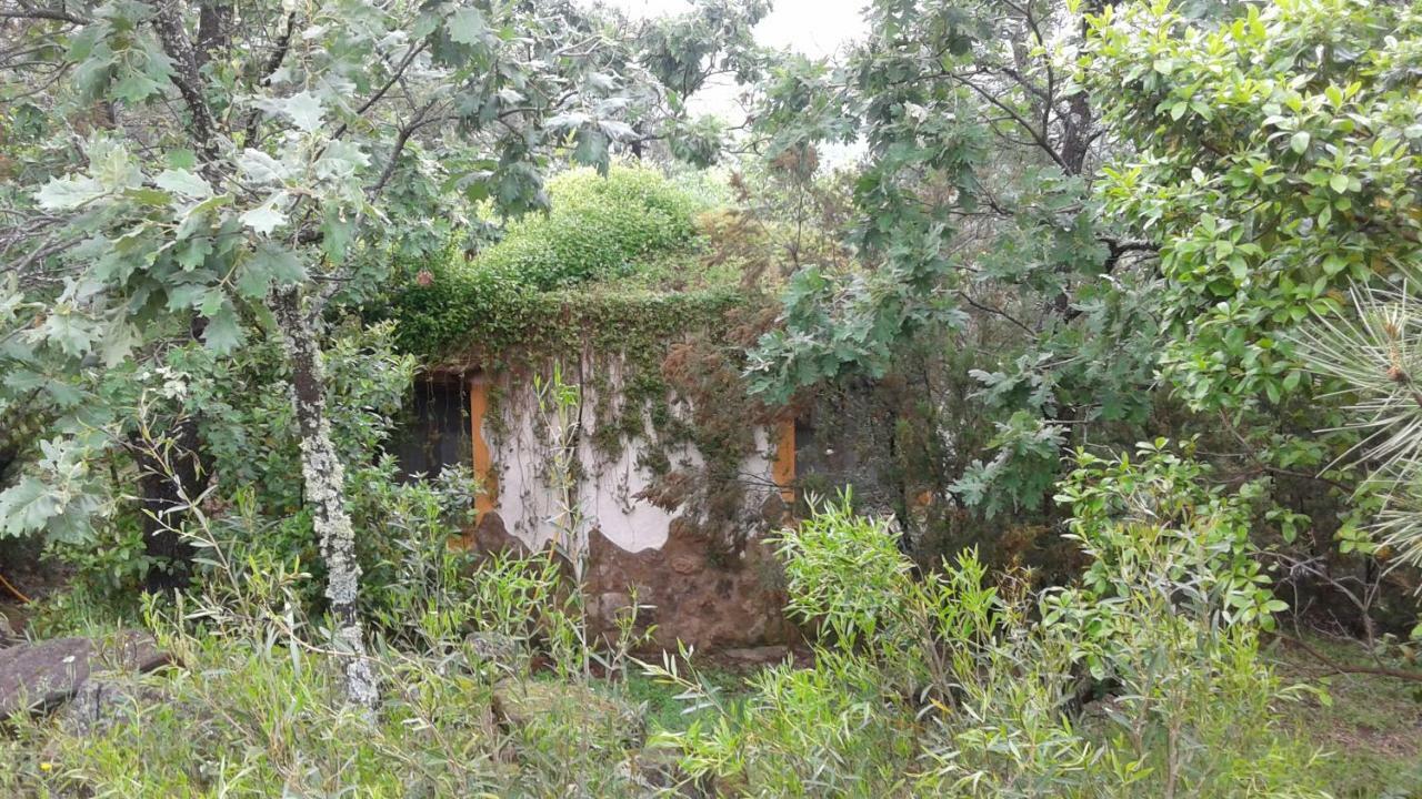 Apartamentos Rurales Ecopangea Valverde de la Vera Luaran gambar