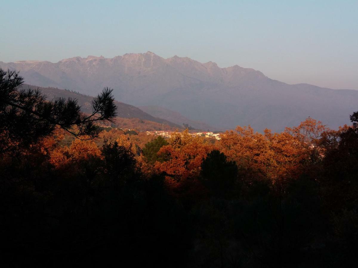Apartamentos Rurales Ecopangea Valverde de la Vera Luaran gambar