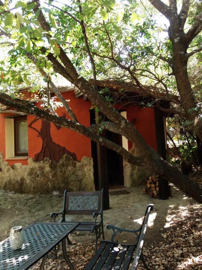 Apartamentos Rurales Ecopangea Valverde de la Vera Luaran gambar